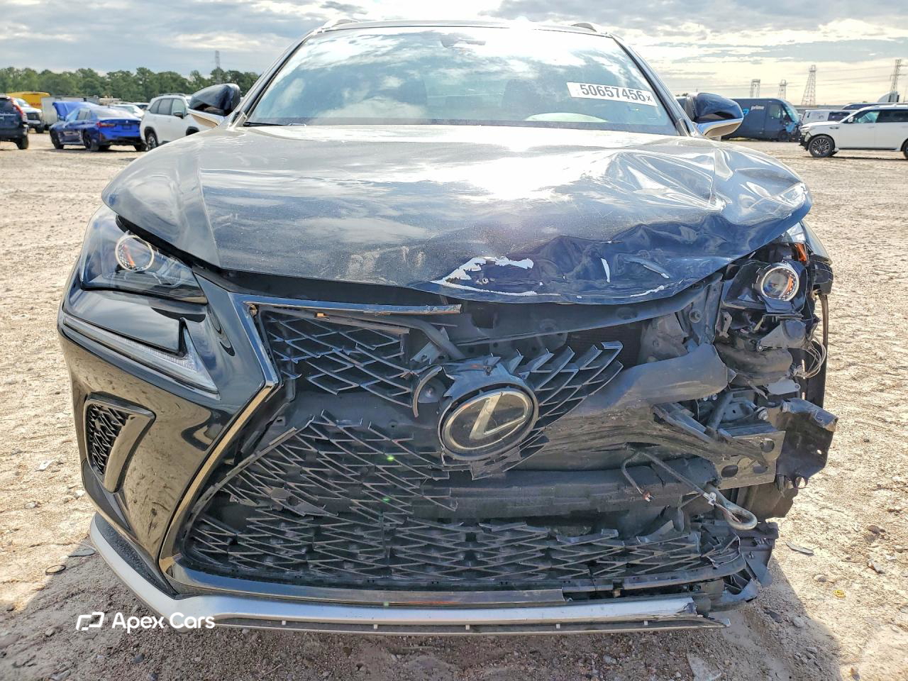 Lexus NX 2019