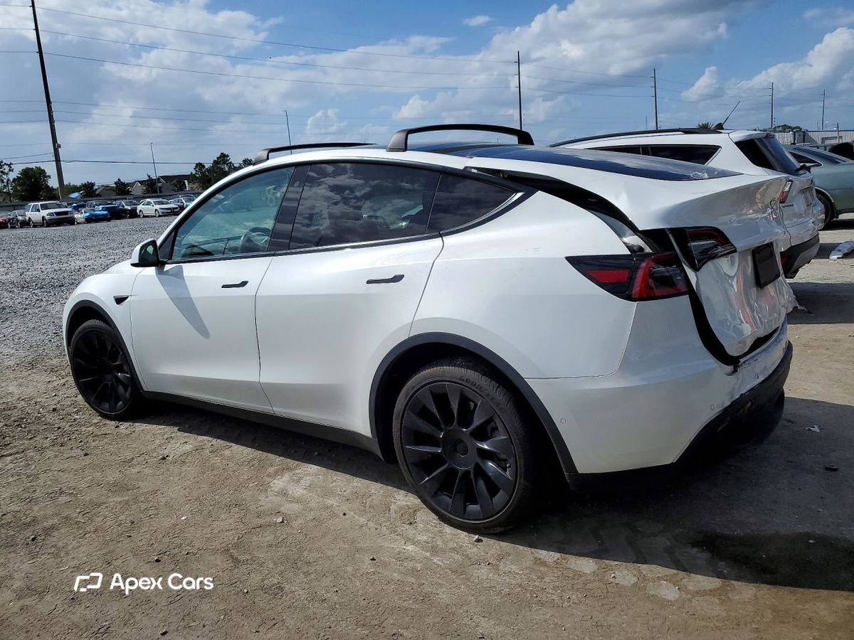 Tesla Model Y 2020