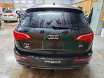 Audi Q5 2010