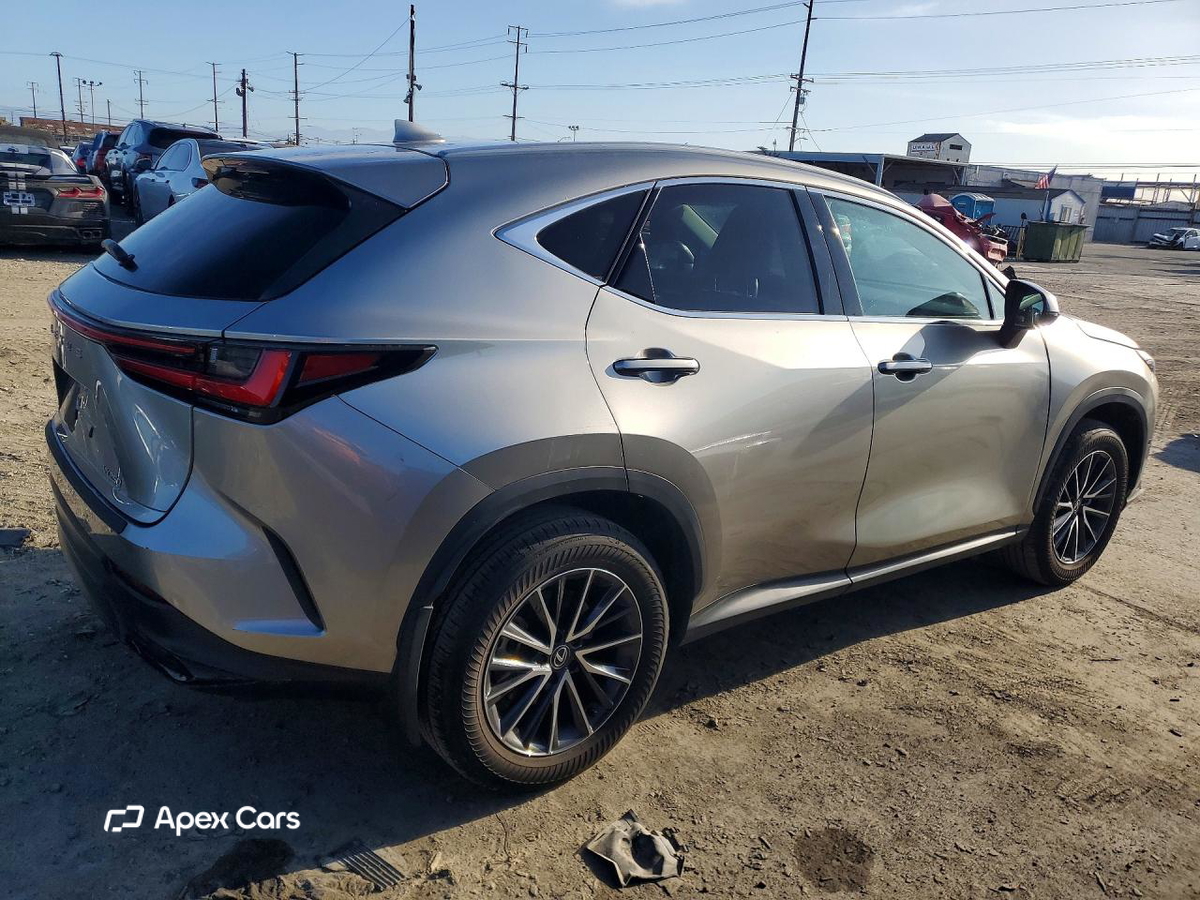 Lexus NX 2024