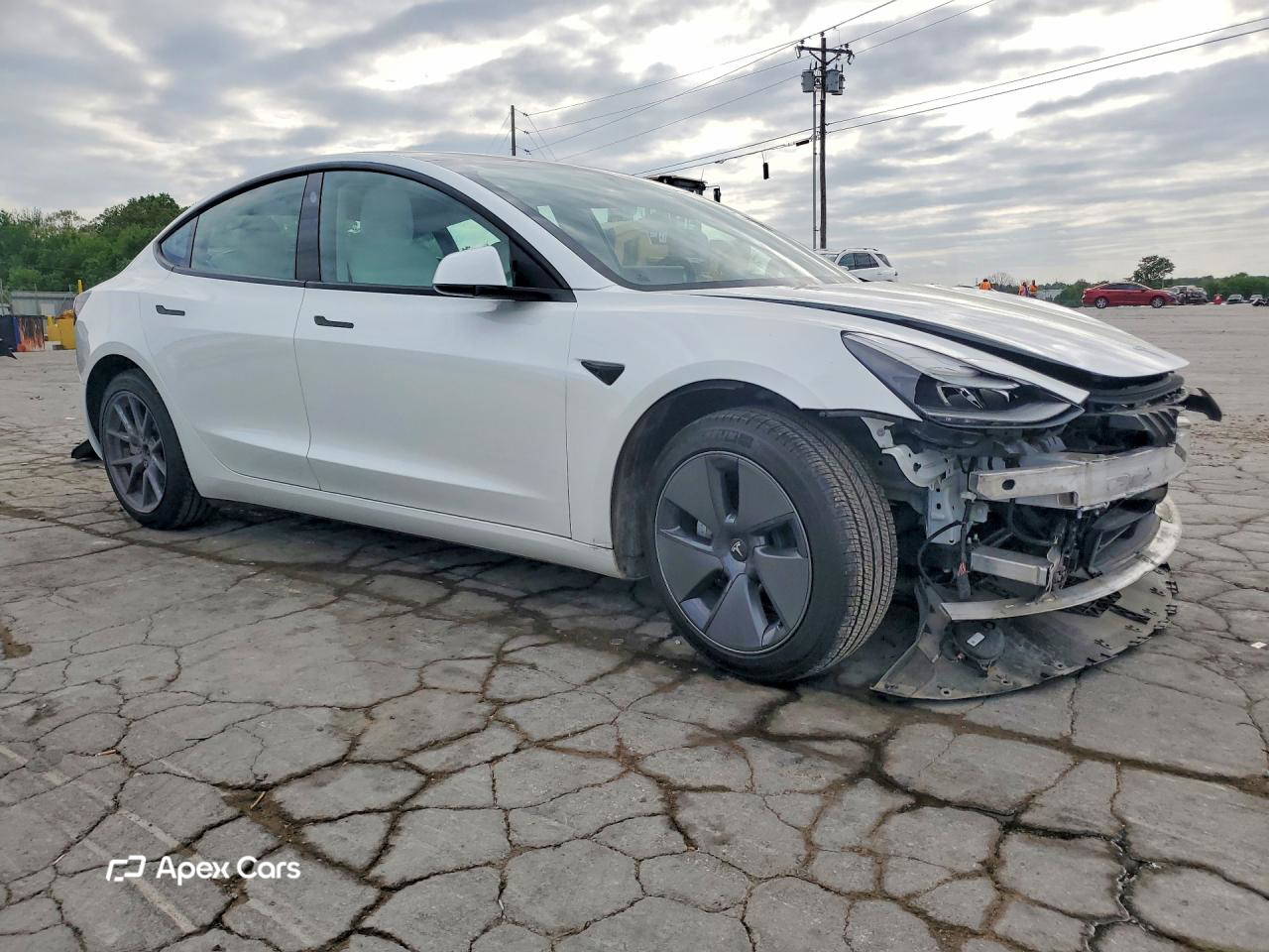 Tesla Model 3 2021