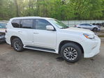 Lexus GX 2019