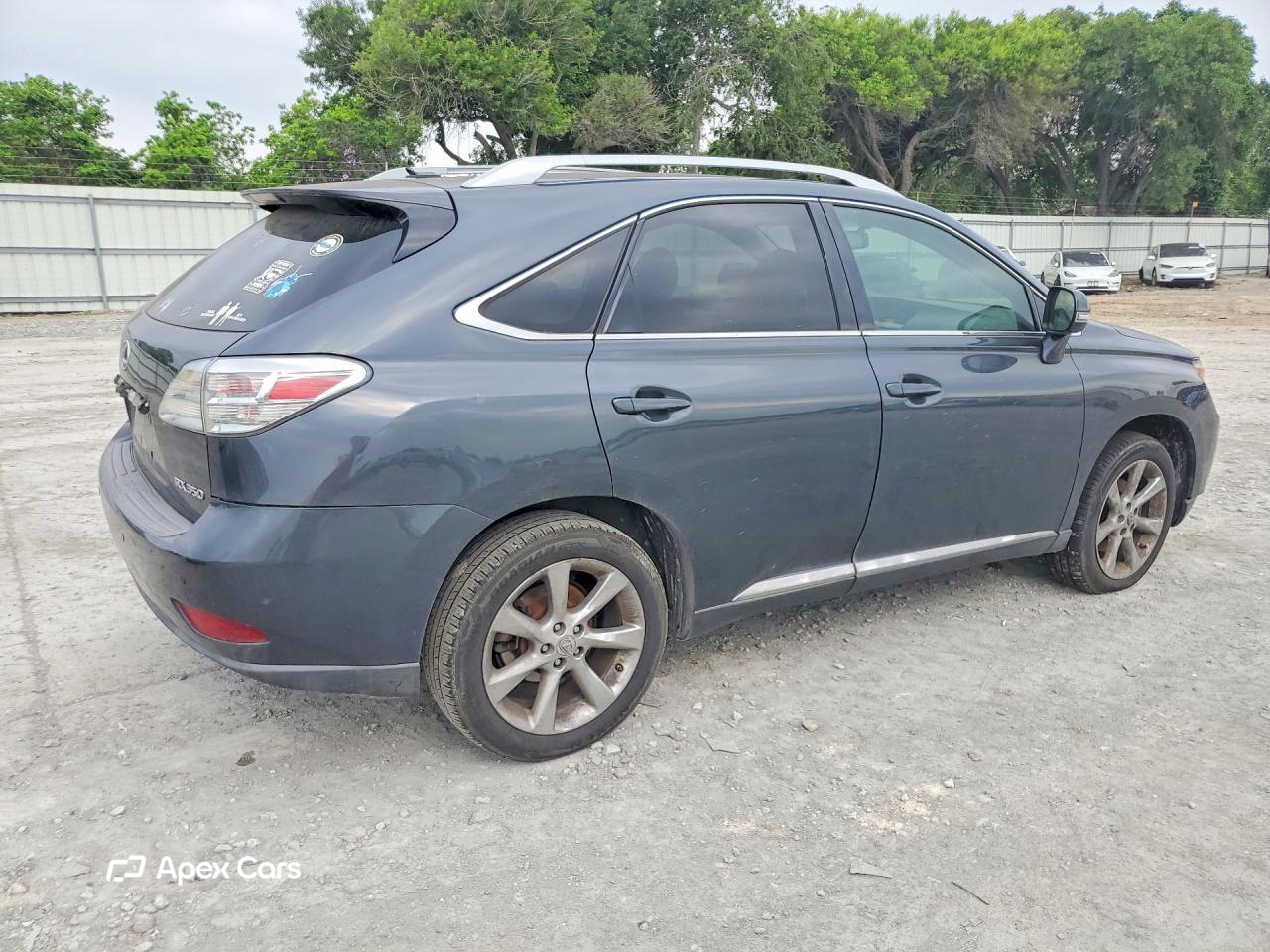 Lexus RX 2010