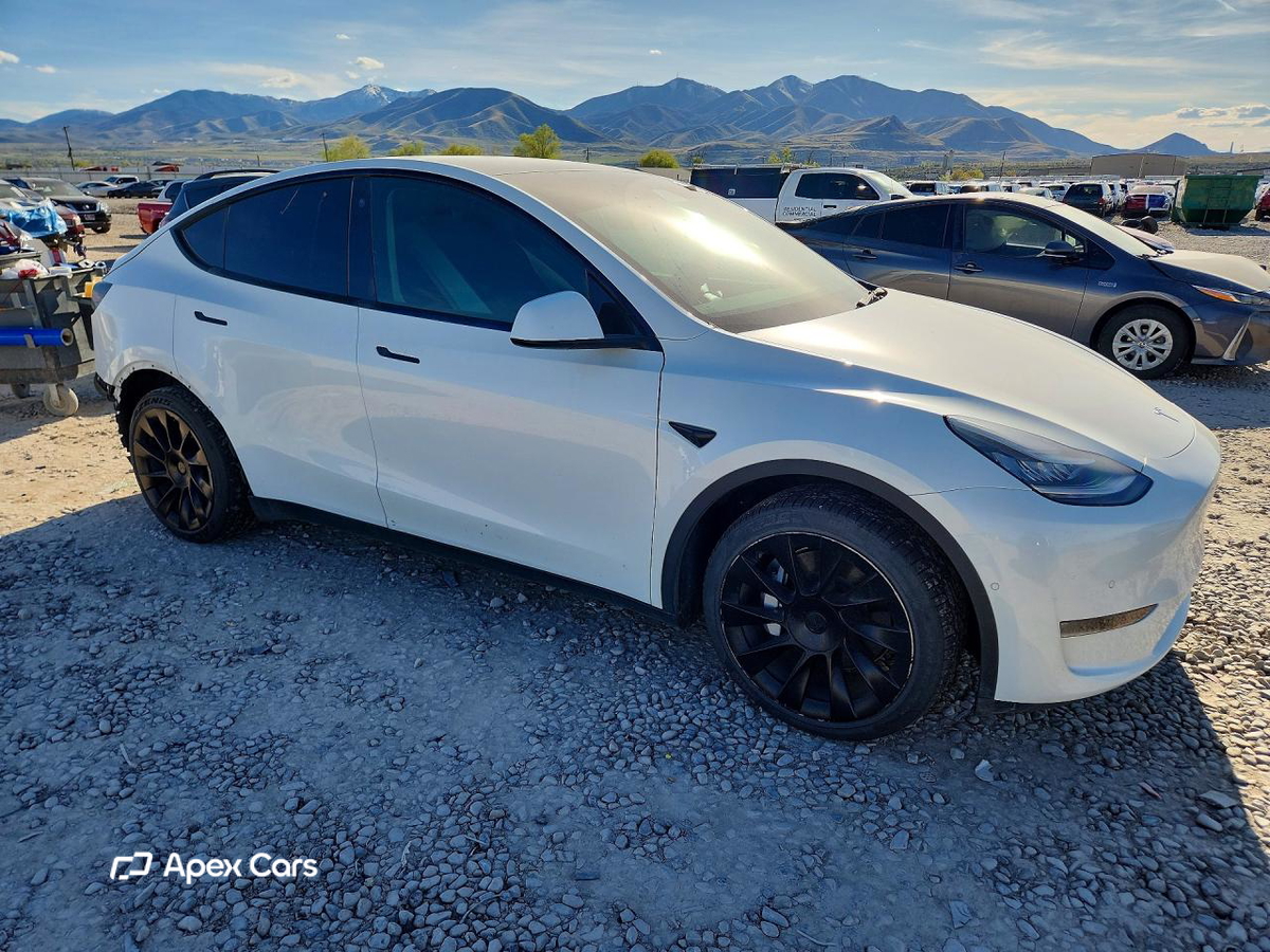 Tesla Model Y 2021