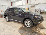 Lexus RX 2010