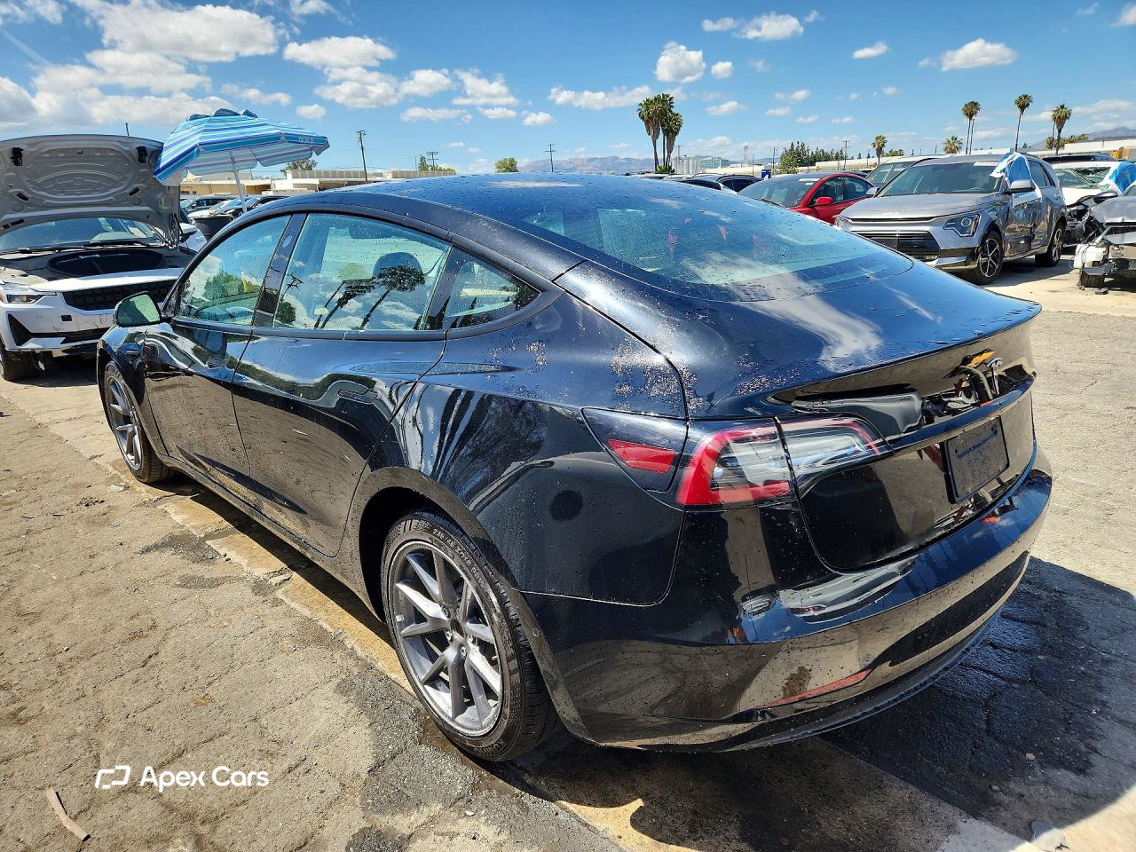Tesla Model 3 2022