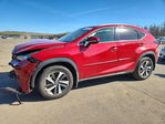 Lexus NX 2019