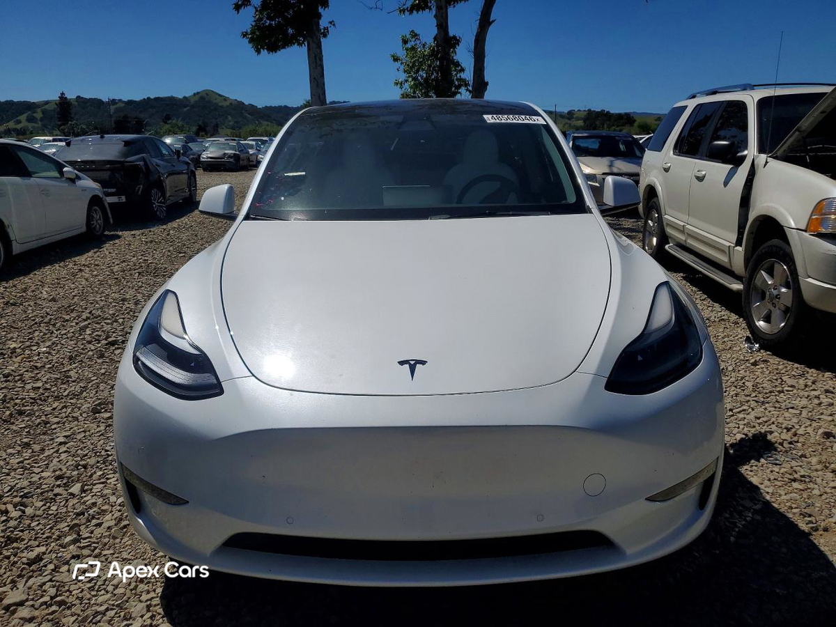 Tesla Model Y 2022
