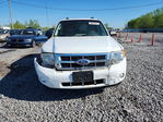 Ford Escape 2011