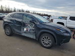 Lexus NX 2020