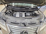 Lexus RX 2019