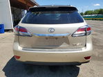 Lexus RX 2014