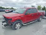 Ford F-150 2013