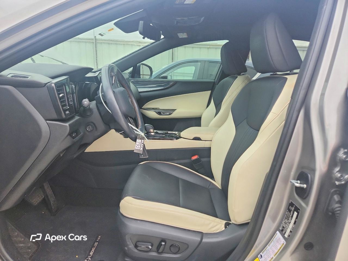 Lexus NX 2024