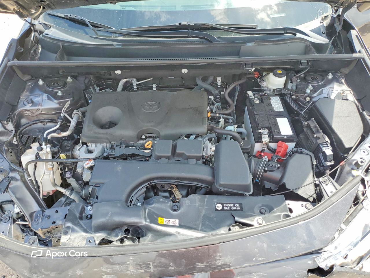 Toyota RAV 4 2024
