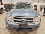 Ford Escape 2011