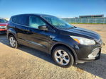 Ford Escape 2013