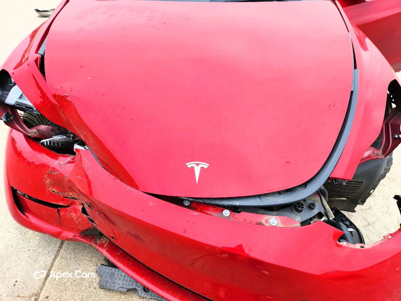 Tesla Model Y 2021