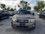 Ford Escape 2012