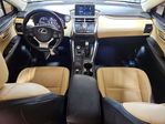Lexus NX 2017