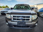 Ford Escape 2012