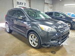 Ford Escape 2013