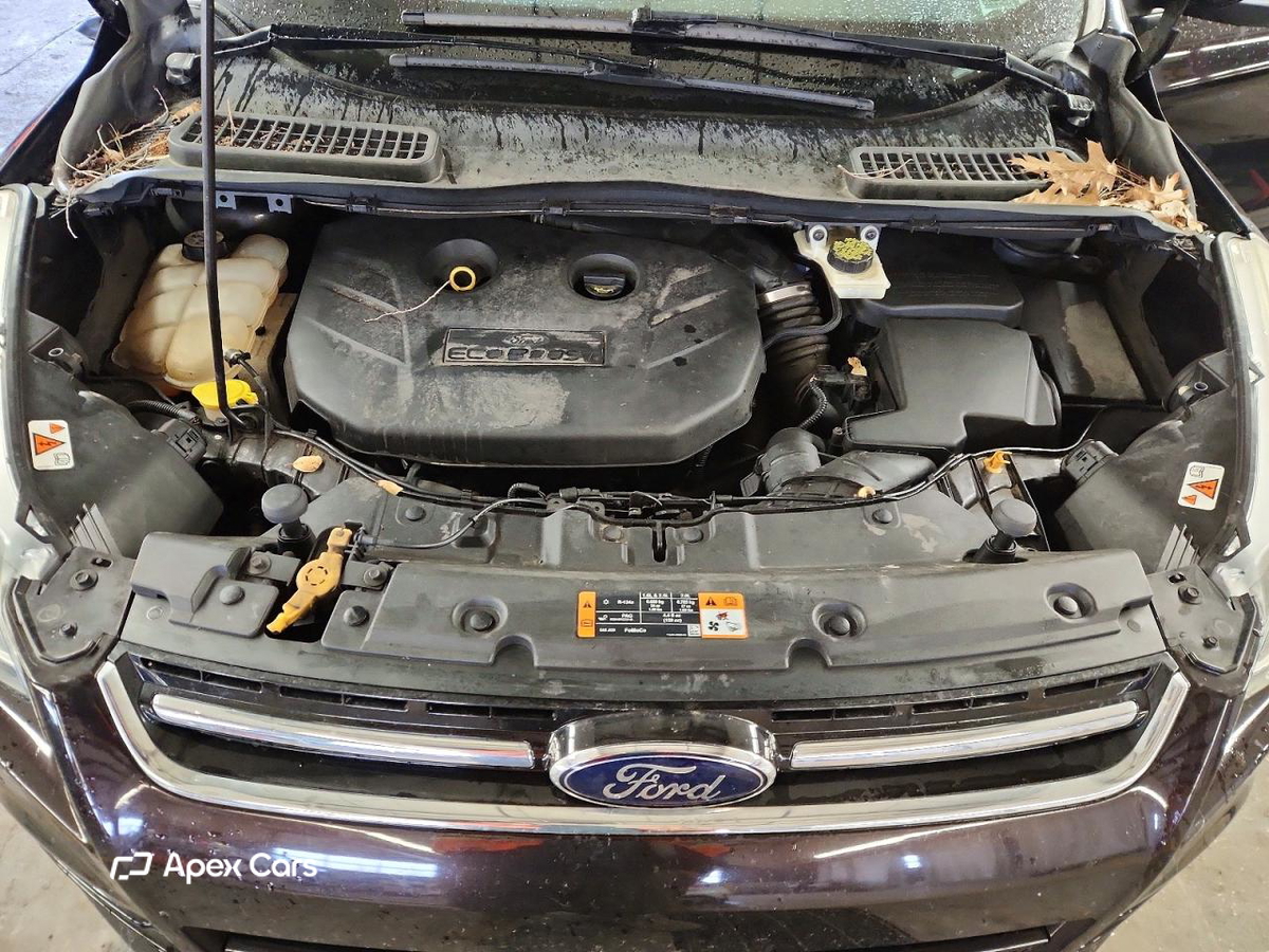 Ford Escape 2013