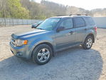 Ford Escape 2011