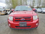 Ford Escape 2008