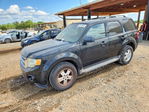 Ford Escape 2012