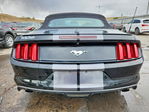 Ford Mustang 2016