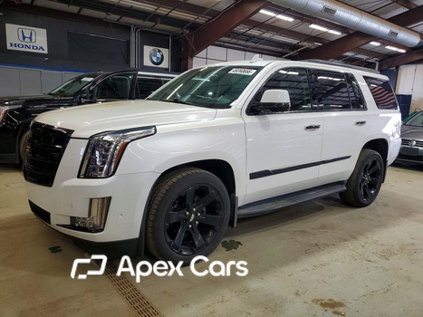 Cadillac Escalade 2017 - Image 1 of 13
