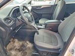 Ford Escape 2022