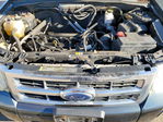 Ford Escape 2009