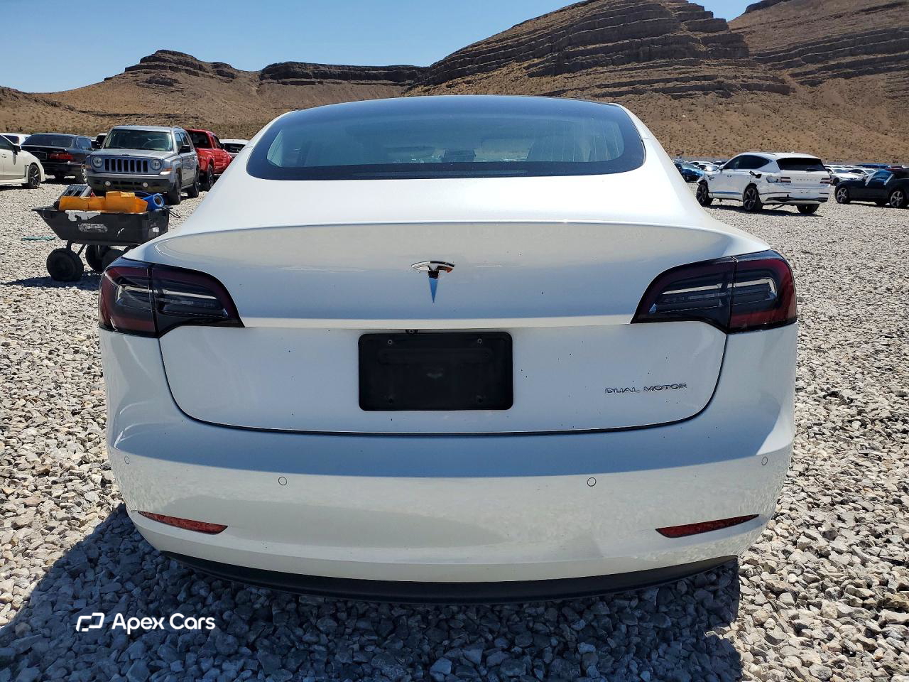 Tesla Model 3 2019