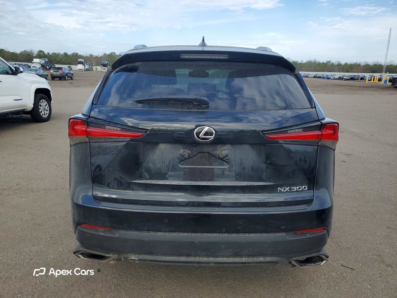 Lexus NX 2020
