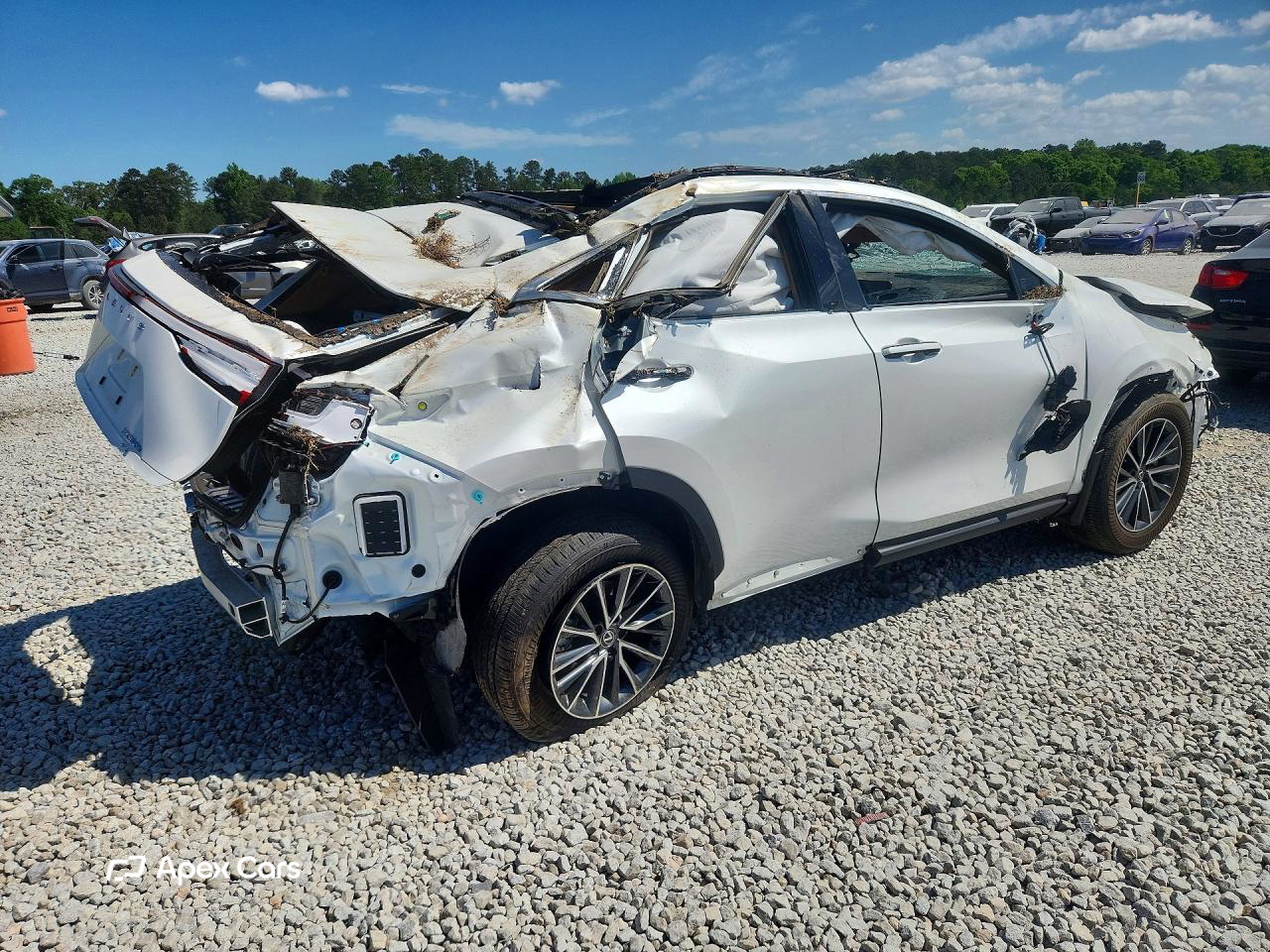 Lexus NX 2025