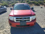 Ford Escape 2008