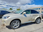 Lexus RX 2015