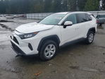Toyota RAV 4 2019