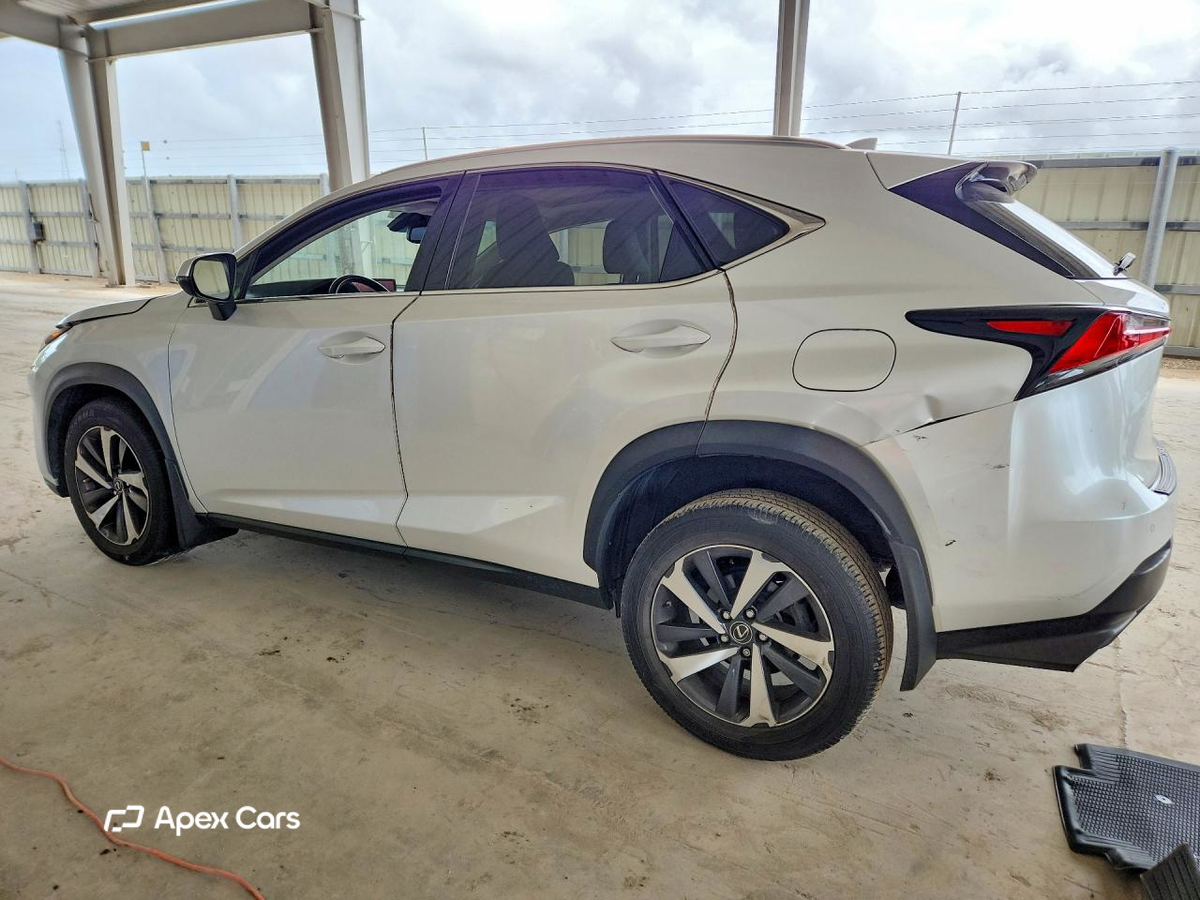 Lexus NX 2021