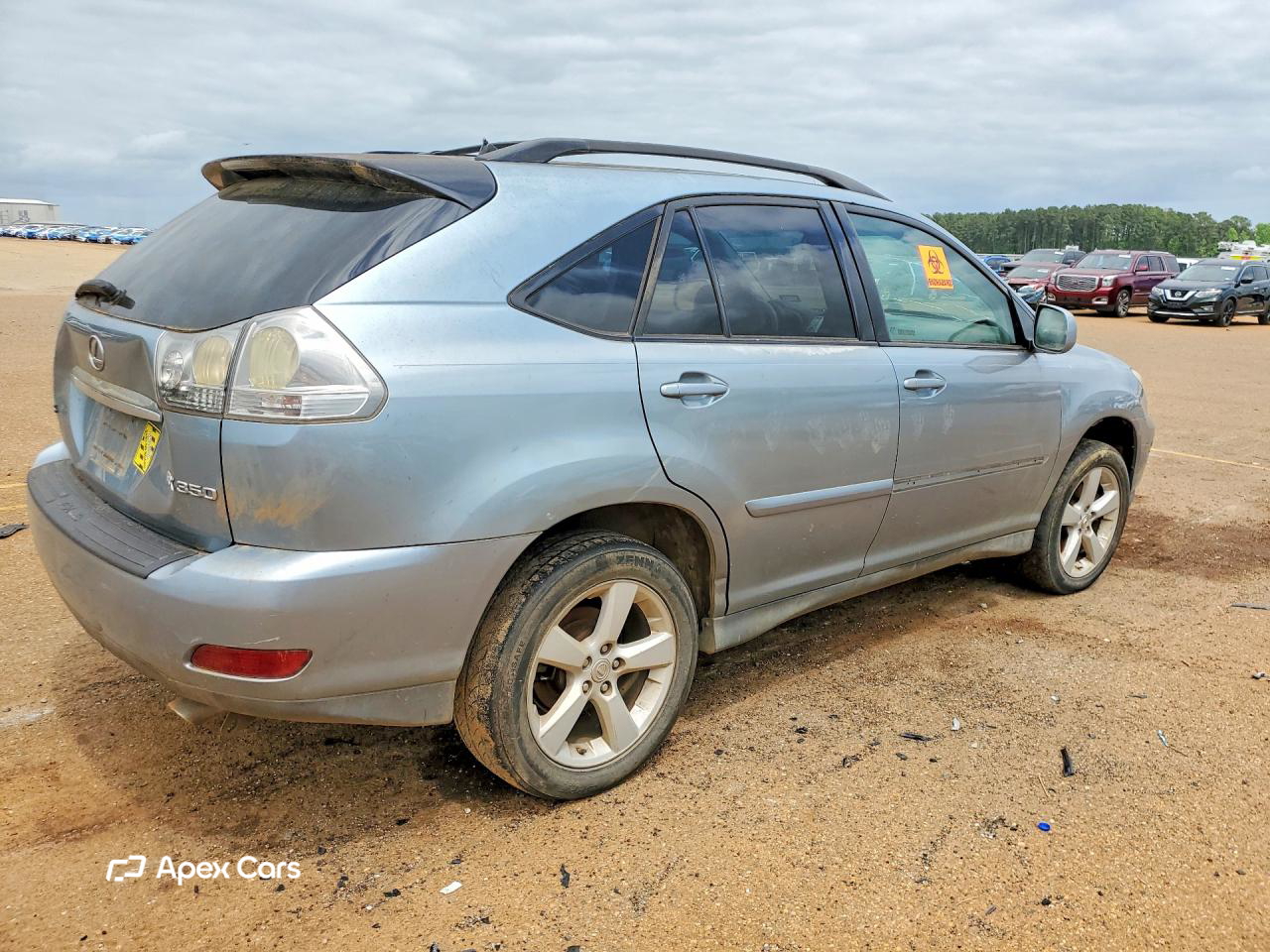 Lexus RX 2007