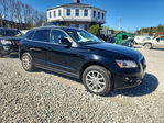 Audi Q5 2010