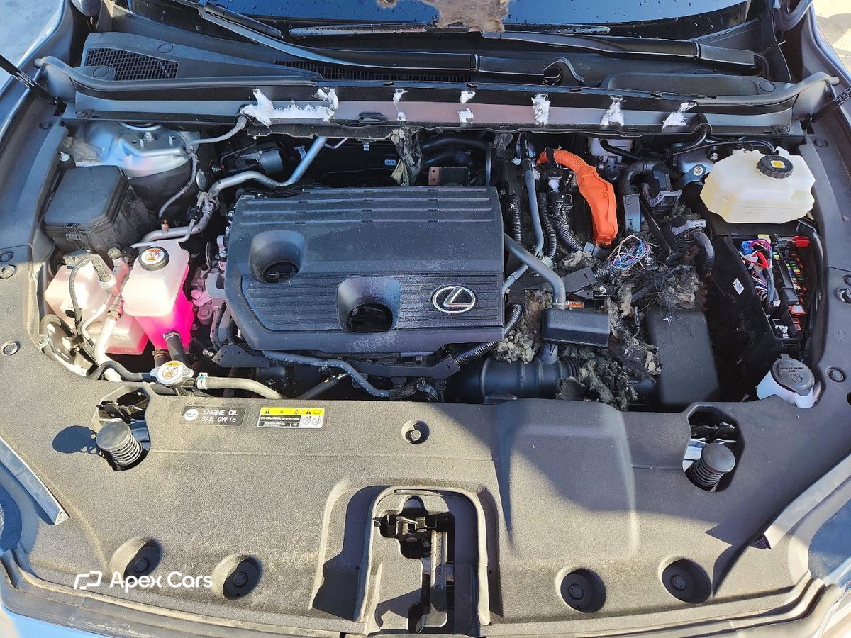 Lexus RX 2024