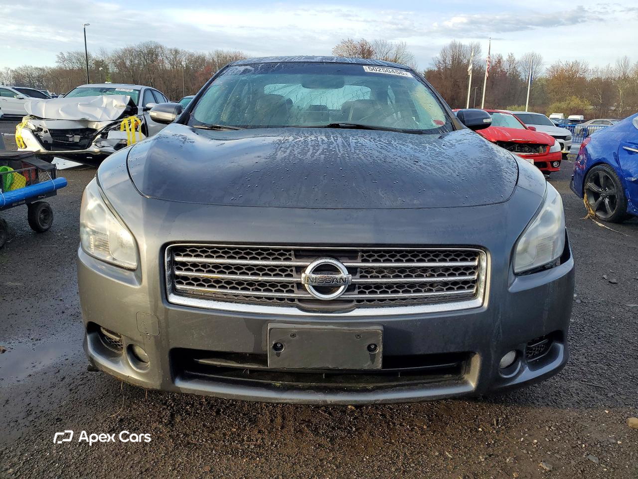 Nissan Maxima 2010