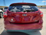 Ford Focus 2013