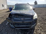 Ford Escape 2016