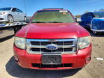 Ford Escape 2010