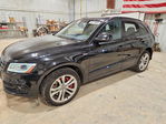 Audi SQ5 2016