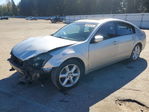 Nissan Maxima 2004